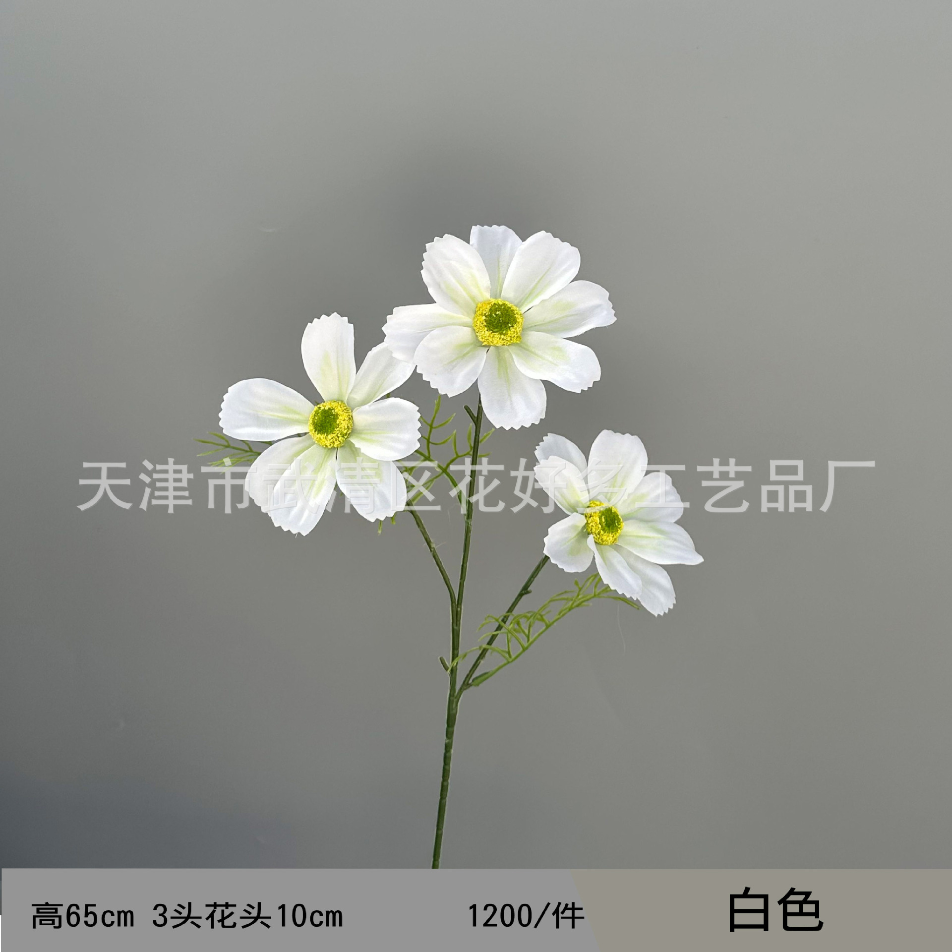 하얀색