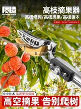 ժˮ��������֦��÷�����߿���s�U�Ӵֲ�ժ���ӹ�����֦���l