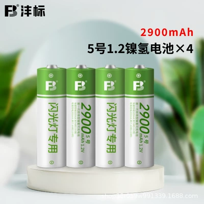 Fengbiao Rechargeable Aa Battery Flash Camera Microphone Aa Toy Set Rechargeable Type (Hibrid akkumulyator batareyaları) - no-5-2900-mah-battery-4-cells