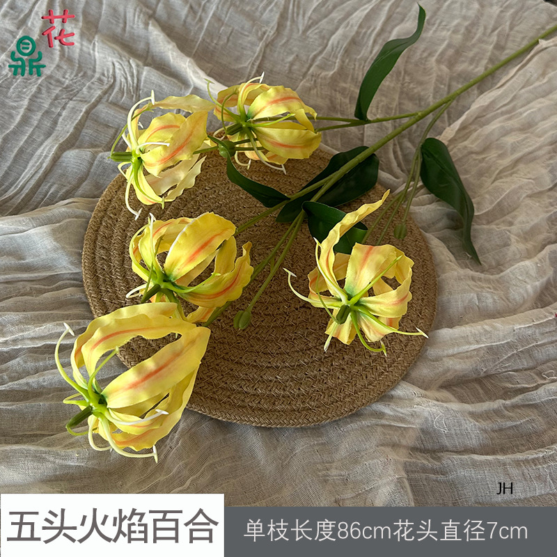 Hoa Lily Ngọn Lửa Năm Đầu JH - Vàng