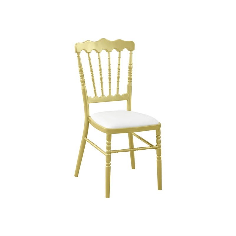 골드 페인트-나폴레옹