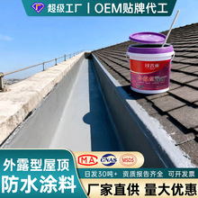 定制防水涂料屋顶防水补漏胶房顶天沟大面积补漏王水性聚氨酯材料