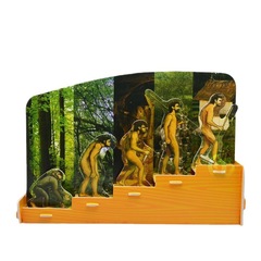 Human Evolution History, Biological Science Experiment Toys, Science and Technology Small DIY Crafts, Preschool Science Popularization Brain-Training Puzzles