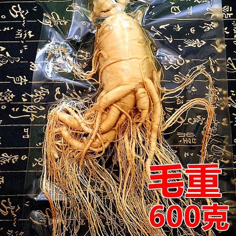 長白山人参鮮度保持参特大参泡酒煮湯滋補専用東北特産生参|undefined