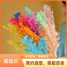 富贵叶干花批发熊猫竹小尖叶 拍摄道具婚庆布景客厅酒店插花花材