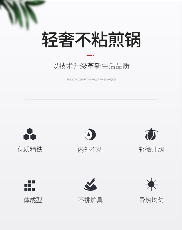 培迪_02.jpg