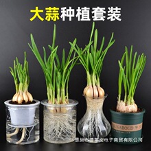 ˮ�����������͸���^��ˮ�B�����߲��׃��@С�W�����Iֲ�����ӛ