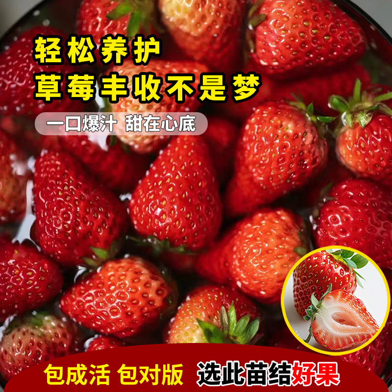 商品图
