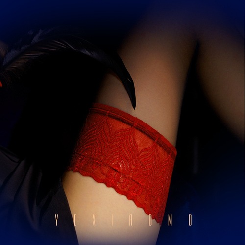 sk stockings for women summer ultra-thin sexy red edge lace black stockings peacock feather over-the-knee socks anti-snagging wholesale