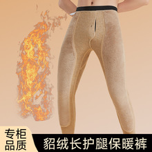 冬加厚保暖裤男德绒加绒秋裤男士驼绒棉裤高腰青年羊毛高弹打底裤