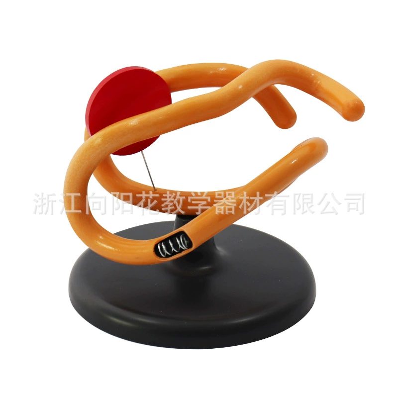 Прямые продажи с фабрики, полипептидная цепная модель, биологическое медицинское обучение, демонстрация, учебные пособия, модель