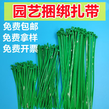 �Gɫ�@�����������������iʽ�������������������̶�������