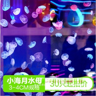 �^�p���wˮĸ�����lˮĸ�^�p�[�ؔ�����10ˮĸˮĸ03cmֻ2С����