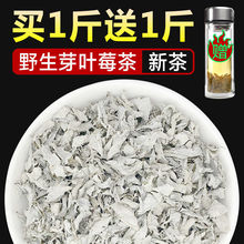 ���ҽ�Ұ��ݮ����ѿ�~é��ù���¶�����ٲ蝙�ʺ����خa