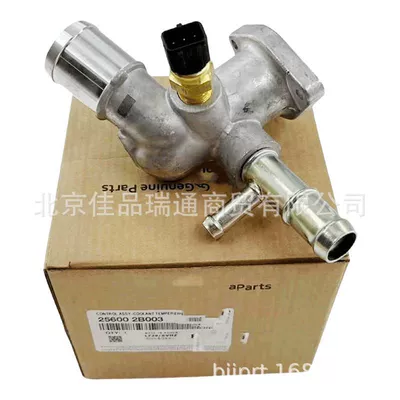 Suitable for Hyundai, Thermostat