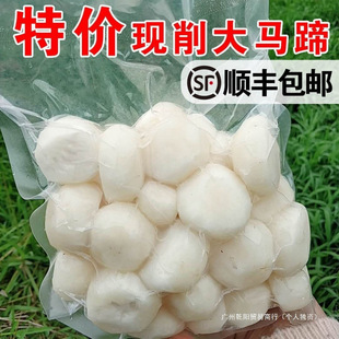 ȥƤ�R����S���]ȥƤݩ�j�R������F�ڬF���F�l�Ҝ�ʳ��ȫ��