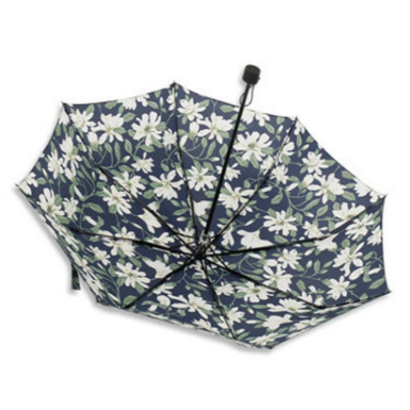 �����պ�С���°ٺϻ�����ɡ�ڽ��۵���ɹ����ɡ��Ůѧ������