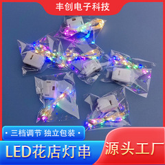 LEDボタンバッテリー小さな白いボックスカラー花ライトストリングバレンタインギフト装飾銅線雰囲気ライトストリング大量