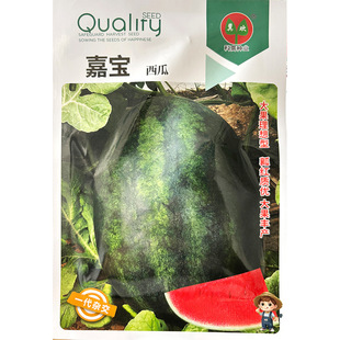 ���g�Ό����ϷN�� ����ִ�t���������ϷN�� ���ز����¶�ع���