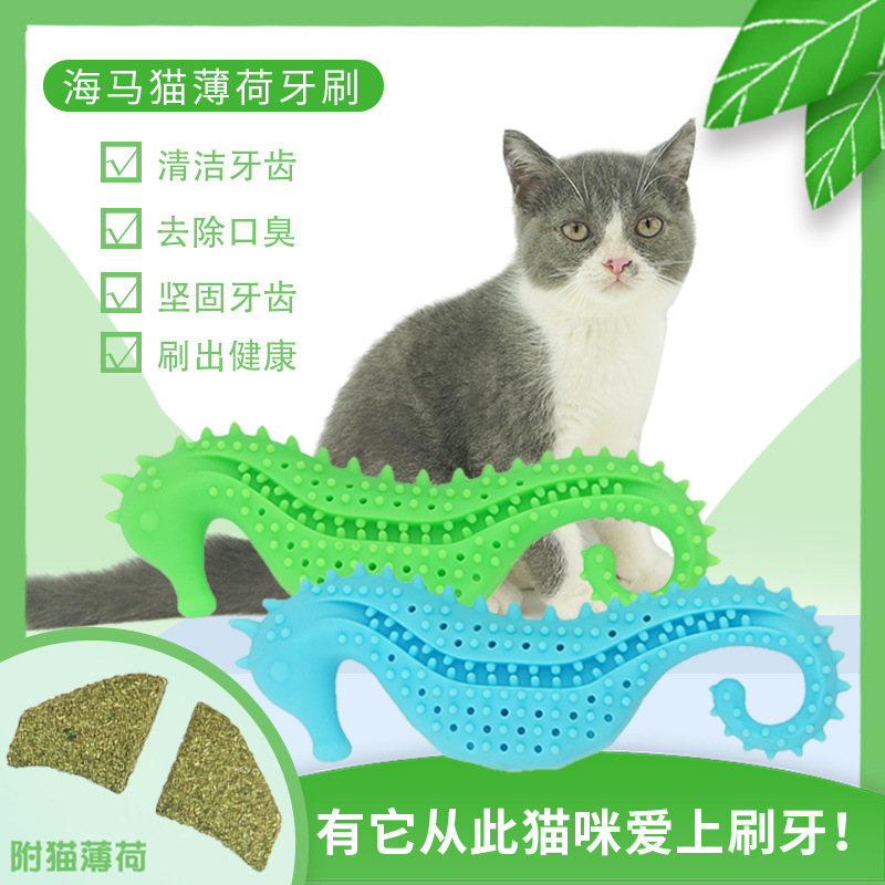 猫牙刷-中文.jpg