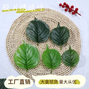 �F؛���l���潑���~�zƬ̫ꖻ��~����Gֲ�~Ƭ��ˇ��ľGֲ�~Ƭ