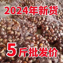 ���������r�Fժ���|���������������_����w�����������F