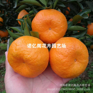 �����۽���ͥԺ�����������Ә����̨���Լ޽ӽ��Ә��箔��Y��