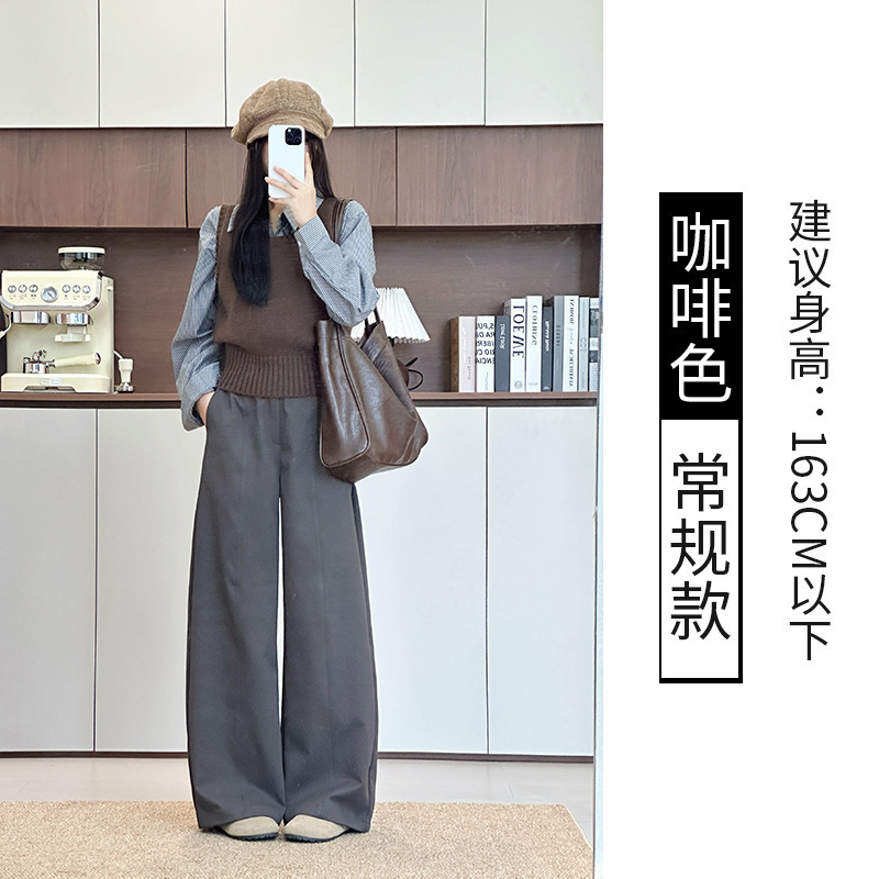 2025春秋新款纯色显瘦休闲裤韩版简约慵懒风宽松直筒阔腿裤|undefined