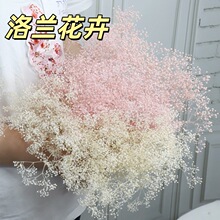 ���ڼ��eA�����������f��ϼ�ݻ������diy�����ֲ廨��������Y��