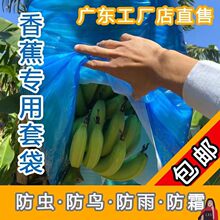 ���o��������һ�w�㽶�Ӻ�ˮ���״�͸�������޷۽��W�����}��