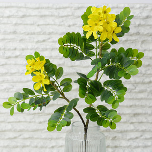 ����ֲ��ܛ�z�ָ�2���֦����֦�����~�Ҿ��b[������Gֲ���l