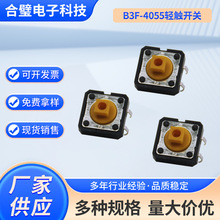B3F-4055 ���^�p�|�_�P ���_��ʽ���_���I�_�P ΢���p�|�_�P