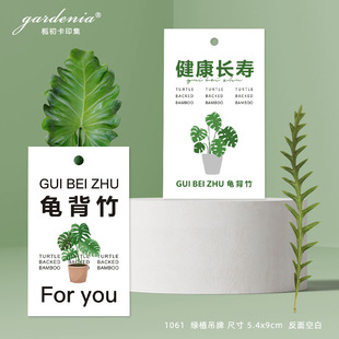 �Gֲ�B�o���������������b���ֲ�ﱣ�B��ܰ��ʾ�����s�Gֲ���