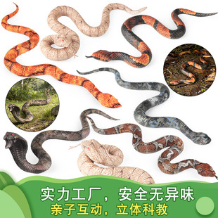 ���挍��ܛ�z����ģ���β�����R�����y�h�ߐ������M���f�}���b�