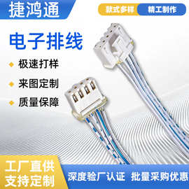 排线双头蓝白红白排线连接线加工电器内部线束电子设备用排线线束