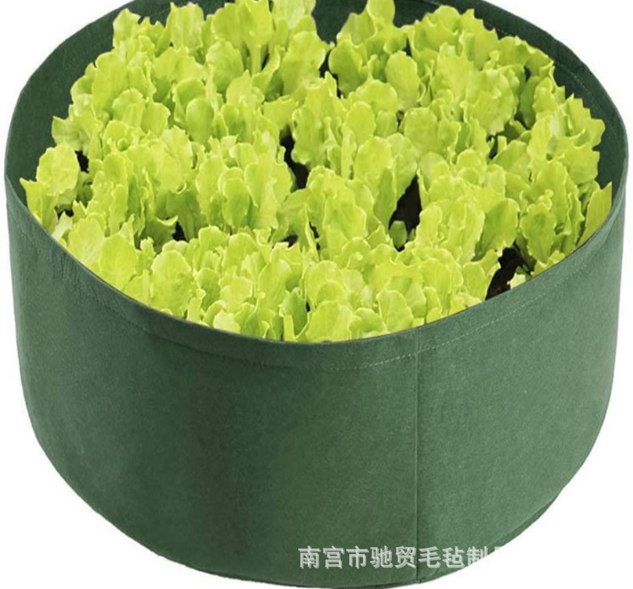 搜狗截图20年08月10日1155_10