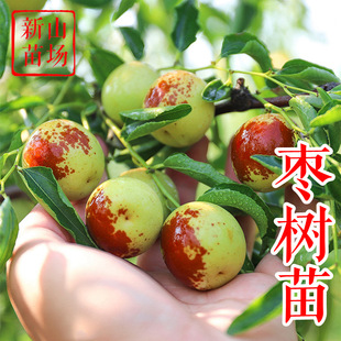 մ������������� �旗���۹޺��J�� �����������ִ�󴗗