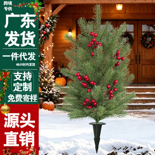 �羳���l�}�QС�ز������ѩ��ᘼt�{���辰���⹝���b���Gֲ