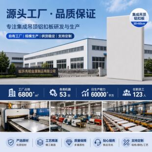 ��ż���Ƽ��ɵ���X�۰�300*600�L�T����N���l���g�̨�컨��