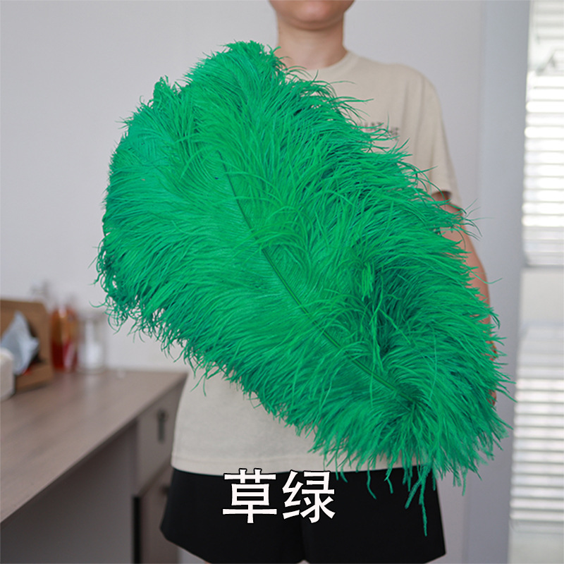55 - 60cm plumas de avestruz de Sudáfrica al por mayor accesorios de ropa DIY accesorios materiales accesorios de diseño de boda lana de avestruz