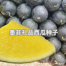ī�ƶYƷ���ϷN�ӿ�����Ƥ�Sȿ����֭��������ˮ���N��