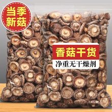 ����Ͱ��㹽��؛���o�����r�㹽��؛���l���㹽�Ҝ�������ʳ��