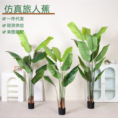 仿真植物落地天堂鳥門店客廳花裝飾美人蕉假盆栽綠植樹仿真旅人蕉