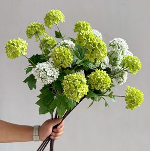 ���滨ľ����ѩ��С����Ҿӻ�c�����쾰�Ӱ巿�b廨�ٻ����l