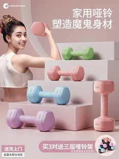 Women's Dumbbell Fitness Equipment Household Thin Belly Barbell Kettlebell Children Adolescent Female Small Dumbbell 2KG Pair