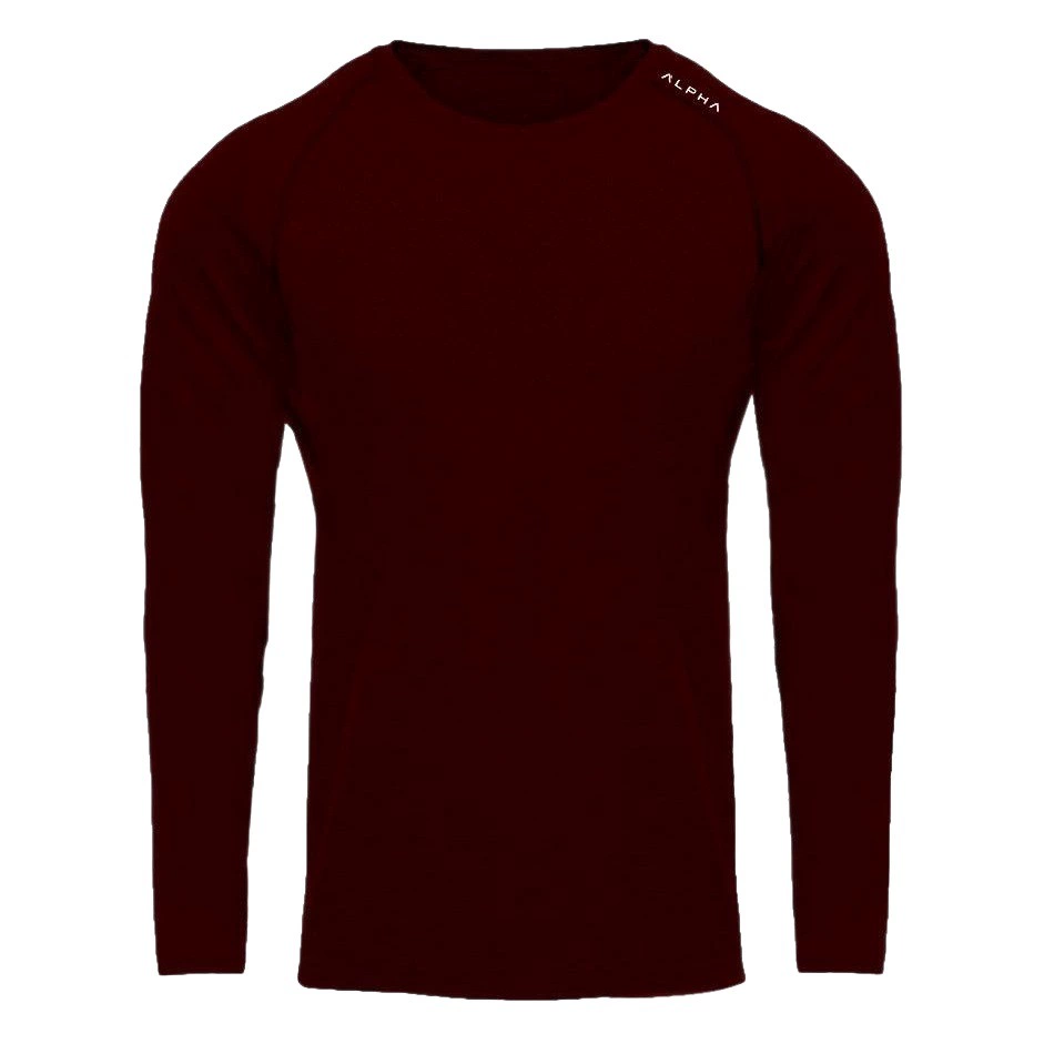 [Эксклюзив для внешней торговли] Мужская Спортивная быстросохнущая эластичная футболка с длинными рукавами для фитнеса на весну и осень, спортивный отдых, бег