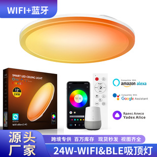 �羳����WIFI�{���b���{���{ɫ������·��픟�Alexa�ȸ��Z��24W