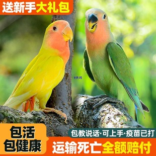 ĵ���W�^���B�������B�S�ҾG��С�B���W�fԒ���귱ֳ�����B