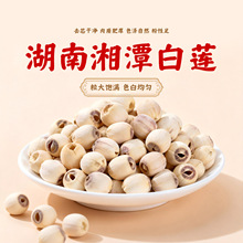 莲子干货去芯湘莲白莲红莲莲米湘潭干莲子特产无芯磨皮莲子莲米