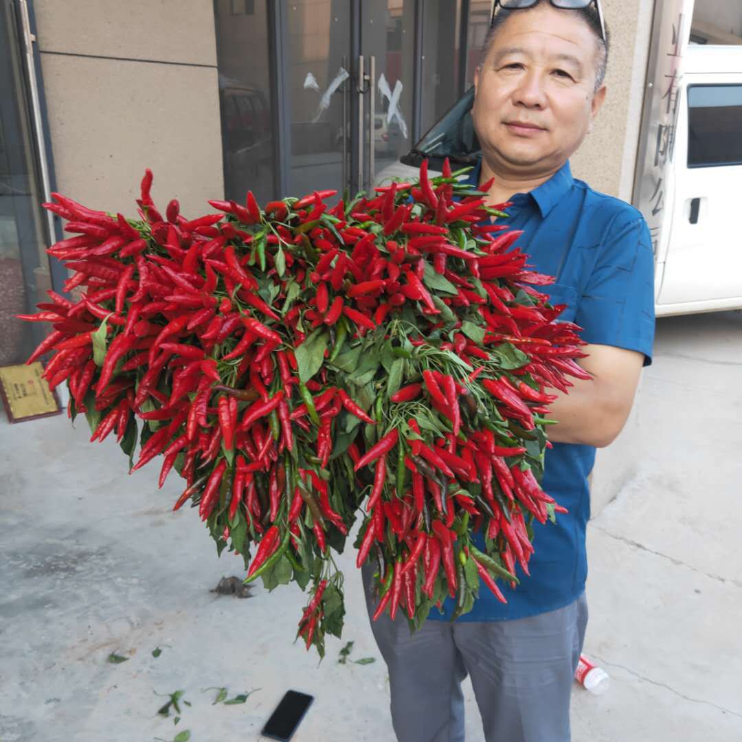 a77d4d4dce2fdbb3772256865b84c6